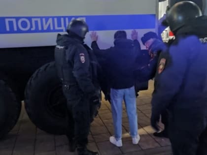 В ночь на 11 ноября в Рязани задержали 81 человека
