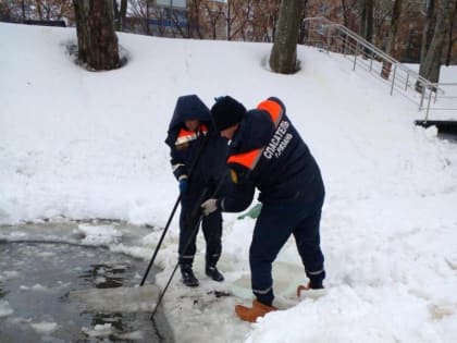 В Рязани спасли уток на замерзшем пруду «Серая шейка»