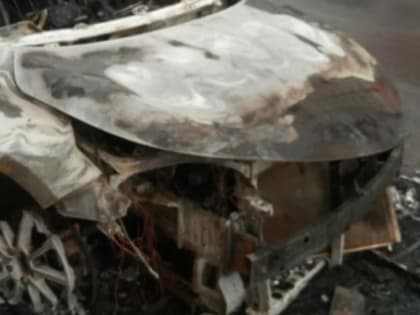 При пожаре автомобиля в Песочне никто не пострадал