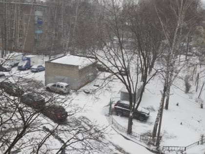 8 февраля в Рязанской области ожидается метель и до -15