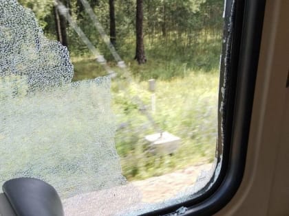 В экспрессе Рязань — Москва во время движения камнем разбили окно