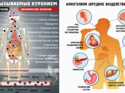 Ваше здоровье – в ваших руках!