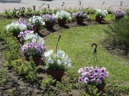 В Рязани с начала года оштрафовали 621 водителя за парковку на газонах