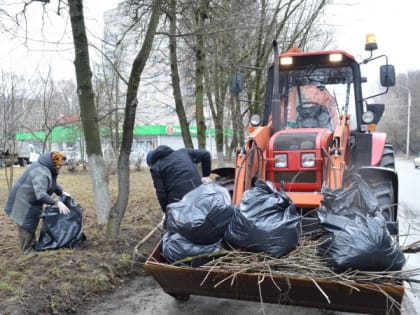 В Рязани состоялся массовый общественный субботник