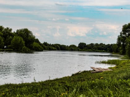 Жителей Рязанской области МЧС предупредило об аномальной жаре с 6 по 8 августа до +36