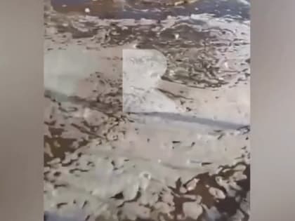 Жители Тюшево под Рязанью пожаловались на навозные потоки на улицах села
