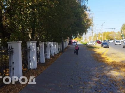 Погода в Рязани установила многолетний температурный рекорд