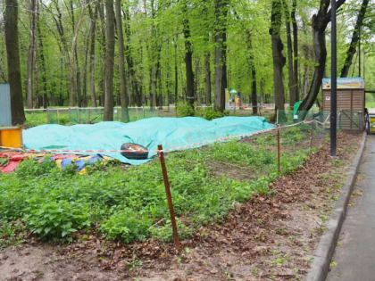 Жители Рязани продолжают голосовать за объекты благоустройства