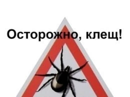 Защита от клещей - соблюдение техники безопасности!