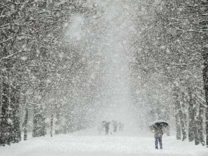 16 февраля в Рязанской области ожидается снег и до -12