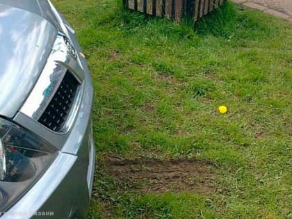 С начала года 4203 нарушителей привлечены  к ответственности за заезд автотранспортных средств на газон и участки с зелеными насаждениями