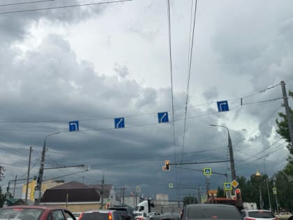 МЧС Рязанской области предупреждает о грозе и сильном ветре 14 июня