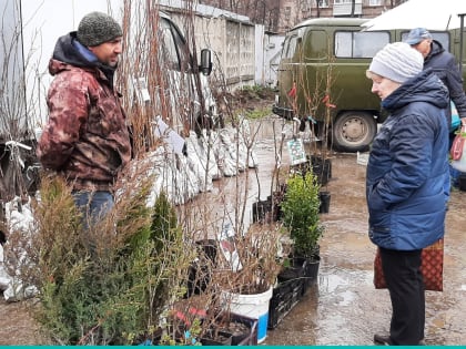 Рязанцев приглашают за рассадой и саженцами на тематическую ярмарку
