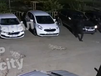 В Рязани неизвестный крадет автомобильные фары