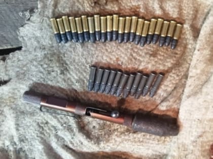 Рязанца задержали за хранение самодельного оружия