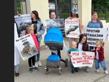 Рязань захлестнула волна протестов в защиту животных