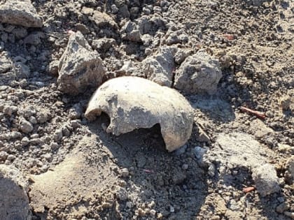 Рязанцы пожаловались на разрытые могилы на площади Свободы