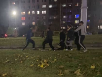 На Московском шоссе в Рязани цыгане устроили массовую драку