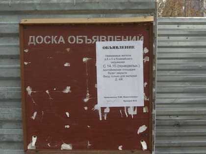 Жители двух домов в Недостоеве не могут поделить мусорные баки