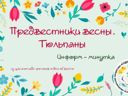 Предвестники весны. Тюльпаны