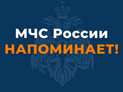 В МЧС напомнили о возможных штрафах за сжигание травы и мусора