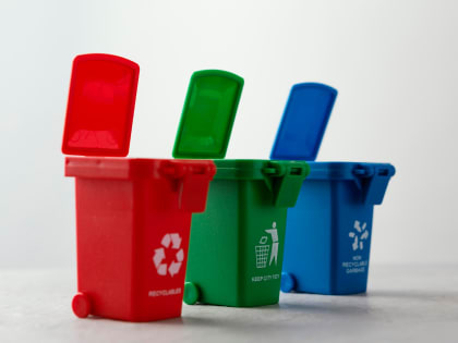 В Рязанской области создадут независимый портал «Следим за чистотой»