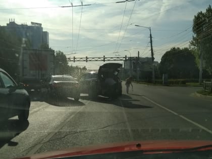 На Московском шоссе образовалась пробка из-за ДТП