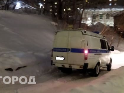 В Рязанской области полиция будет выполнять часть обязанностей регионального правительства