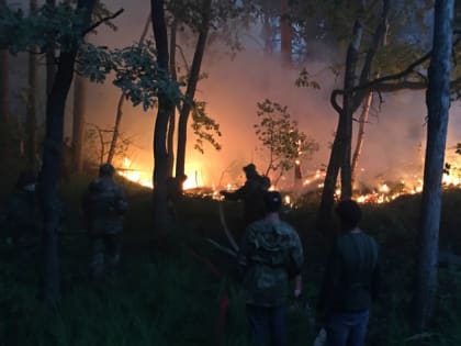 Волонтёры помогают тушить лесные пожары