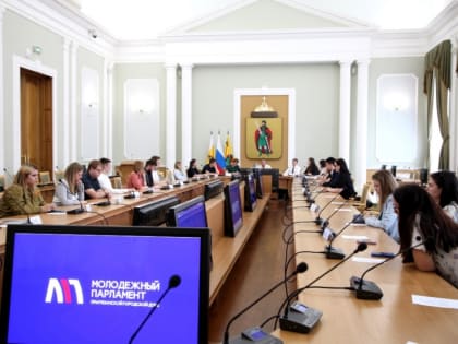 Состоялось заседание Молодежного парламента при городской Думе