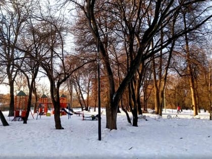 В Рязани продолжат благоустраивать Новопавловскую рощу