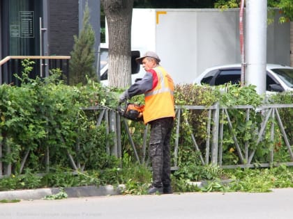 Уход за зелеными насаждениями и уборка территорий: работы по благоустройству продолжаются в ежедневном режиме