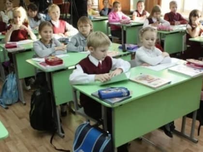 Рязанцы создали петицию с требованием уволить директора школы № 62 после скандала