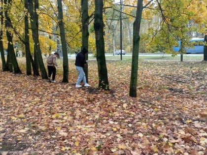 В парке Советско-Польского братства по оружию прошла экологическая акция