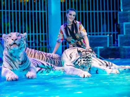 В Рязанском цирке показали представление для семей участников СВО