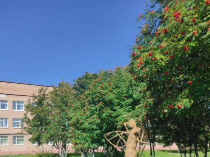 На территории рязанской детской больницы установили фигуры из сена