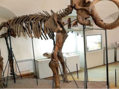 Легендарный мамонт покинет Рязанский кремль 8 октября