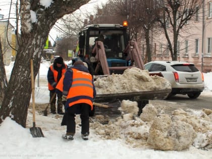 Дирекция благоустройства проводит сезонные работы в областном центре