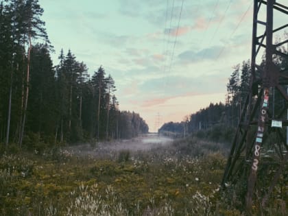 В Рязанской области 21 мая пройдут дожди и потеплеет до +23