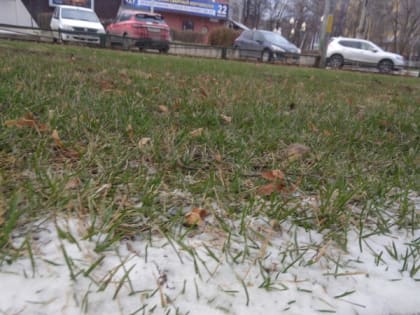 28 октября в Рязанской области ожидается снег, туман и до +6