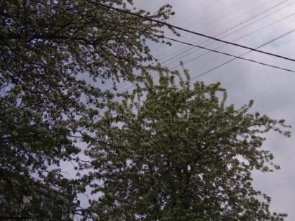 15 августа в Рязанской области ожидается дождь и до +28