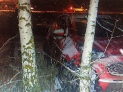 В Александро-Невском районе в массовом ДТП пострадал годовалый ребенок