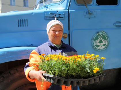 17 тысяч цветов высадят у рязанского Дворца торжеств