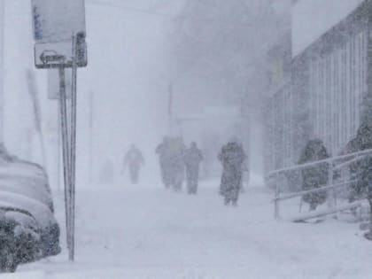 12 февраля в Рязанской области ожидается метель и мощный ветер