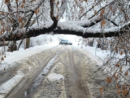 Прошедший в Рязани ночной снегопад оставил неприятные последствия