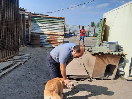 Протест против поправок в федеральный закон «Об ответственном обращении с животными»