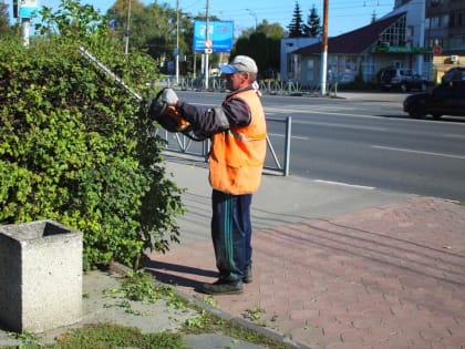 В областном центре проводится уборка скверов и стрижка кустарника
