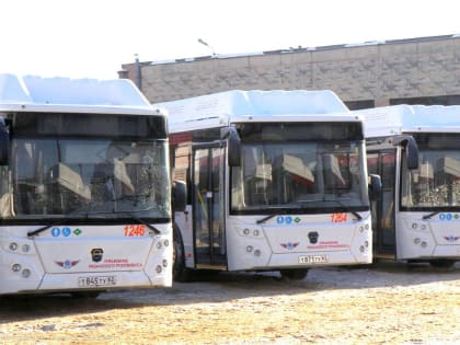 Троллейбусный парк города пополнили 25 новых низкопольных автобусов