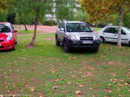 В областном центре продолжаются мероприятия по предотвращению парковки на зеленой зоне