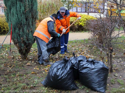 В областном центре продолжается вывоз листвы и уборка городских территорий